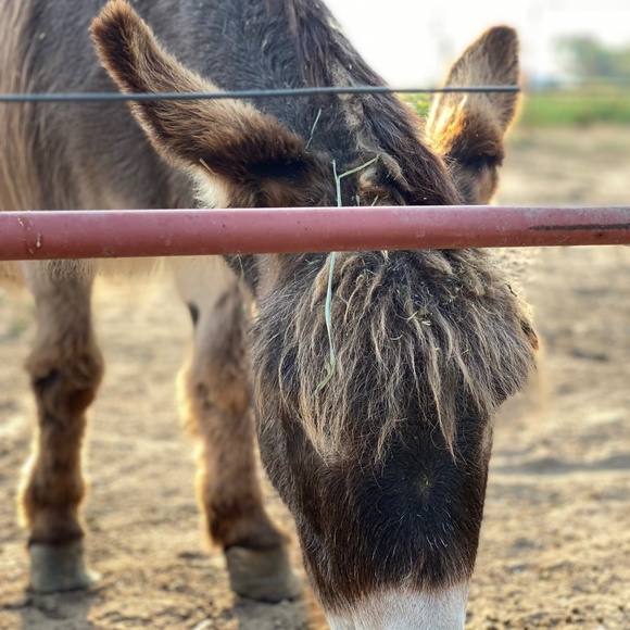 Welcome to my closet - Picture 10 of 15